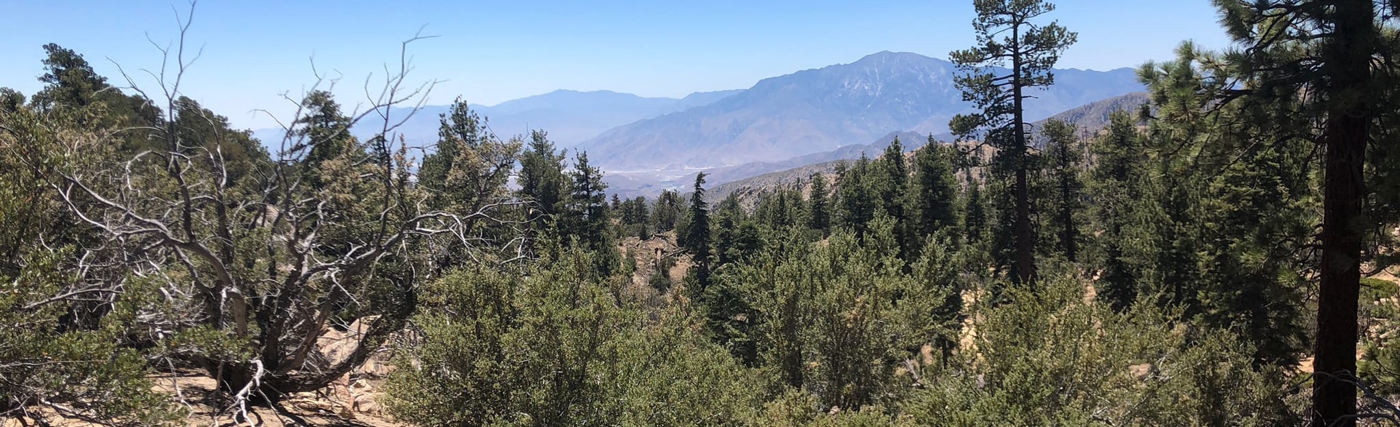 Coon Creek Cabins 49 Reviews, Map California AllTrails