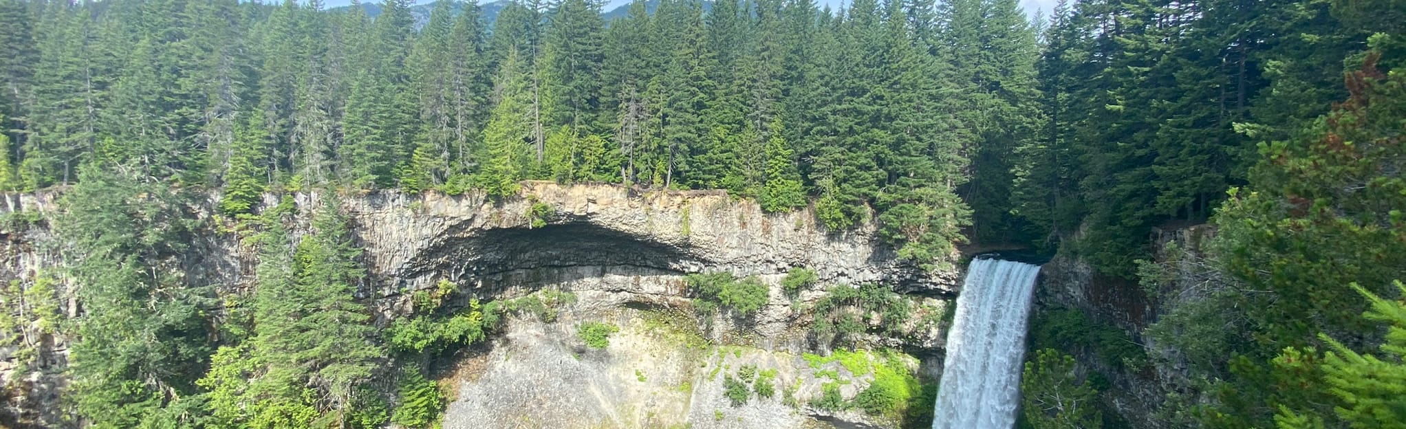 Brandywine Falls 1.009 fotos Britisk Columbia, Canada AllTrails