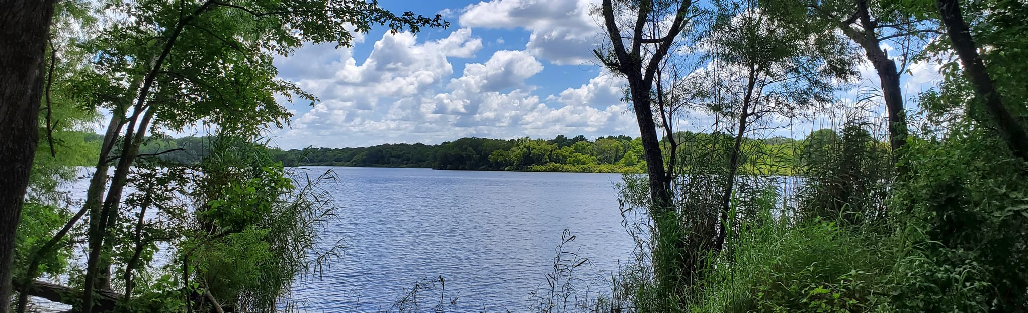 Mill Creek Lake Nature Trail, Texas - 78 Reviews, Map | AllTrails