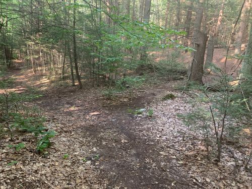 Best Hikes and Trails in Richard Sargent Wildlife Management Area ...