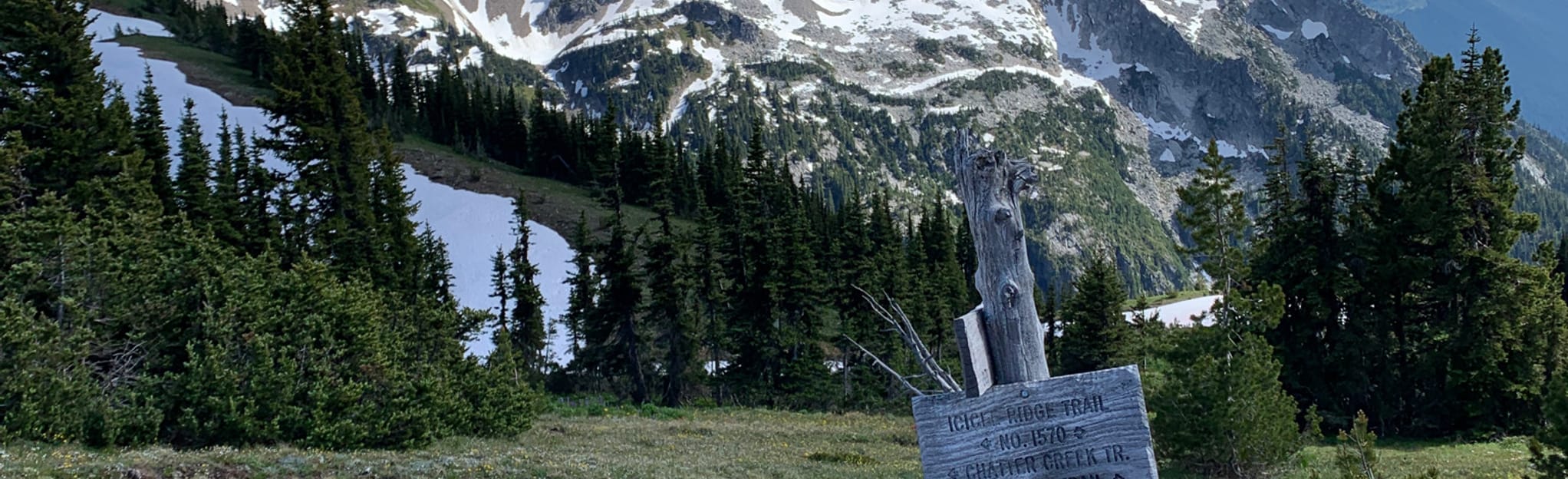 Chiwaukum Creek to Icicle Ridge Trail, Washington - Map, Guide | AllTrails