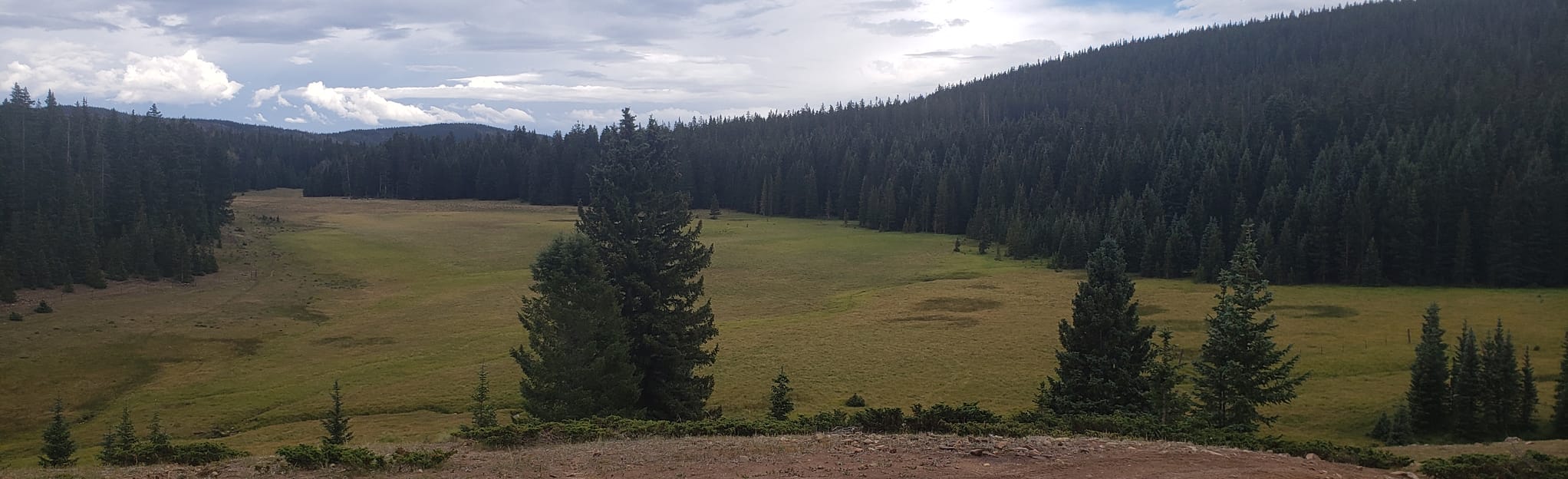 Red River OHV Trail, 101 Fotos NewMexiko AllTrails