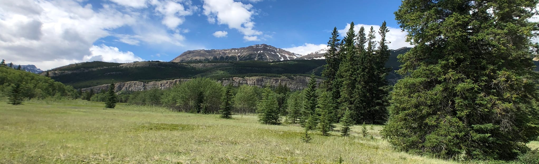 Loudon Creek Trail, Alberta, Canada 19 Reviews, Map AllTrails