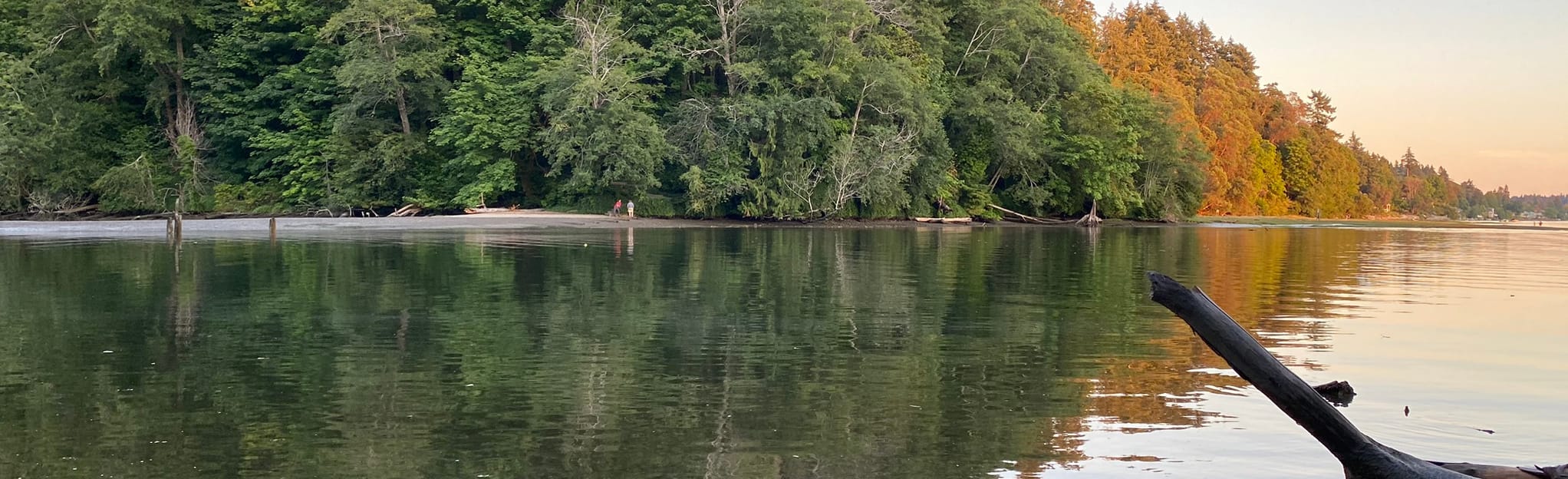 Squaxin Park Loop, Washington 652 Reviews, Map AllTrails