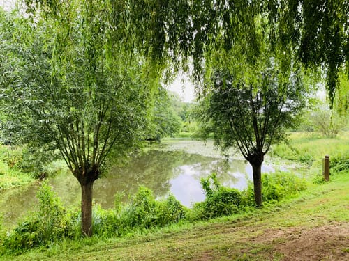 Auf dem Emsradweg von Wiedenbrück nach Einen
