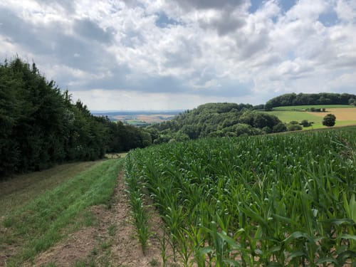Terrainkurweg 6 Neukirchen