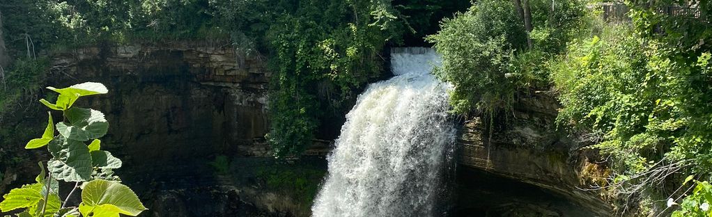 are dogs allowed at minnehaha falls