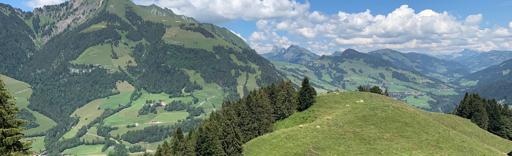 Rossinière - Rochers de Naye via Via Alpina, Alternative Route IV: 6 ...