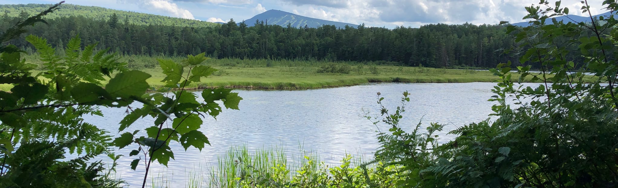 Mount Bigelow via Appalachian Trail and Fire Warden Trail 82 Reviews