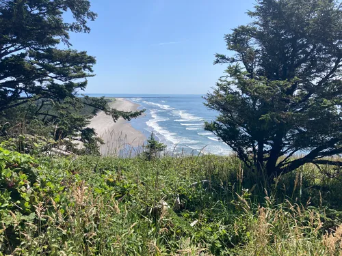 Cape disappointment outlet trails