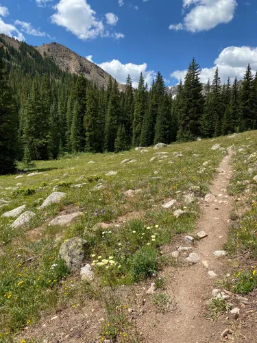 Los 10 mejores senderos para pasear en Leadville