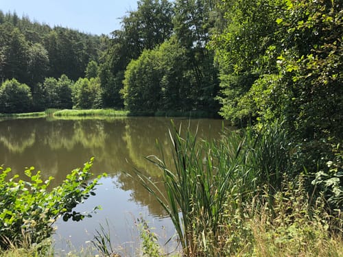 Eiswoog Bockbachtal