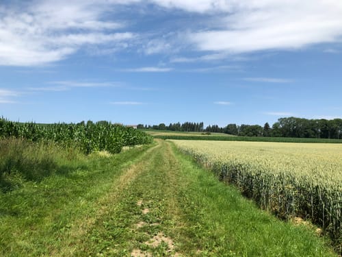 Bergtour Höchsten (Premiumwanderweg)