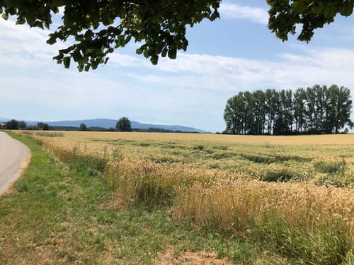 Bergtour Höchsten (Premiumwanderweg)
