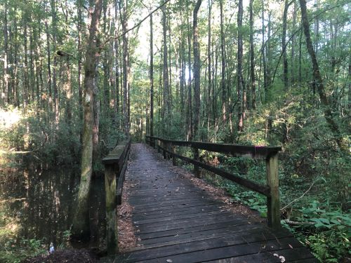 Best Hikes and Trails in Percy Quin State Park | AllTrails