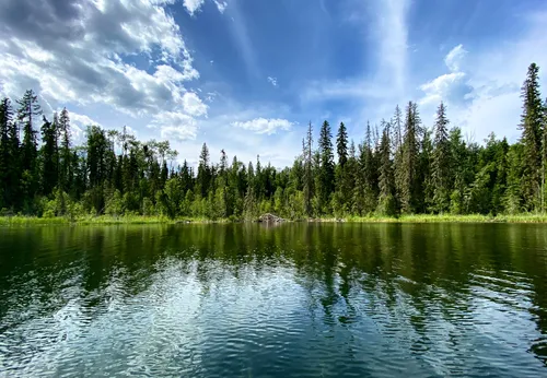 Best forest trails in Woodlands County | AllTrails