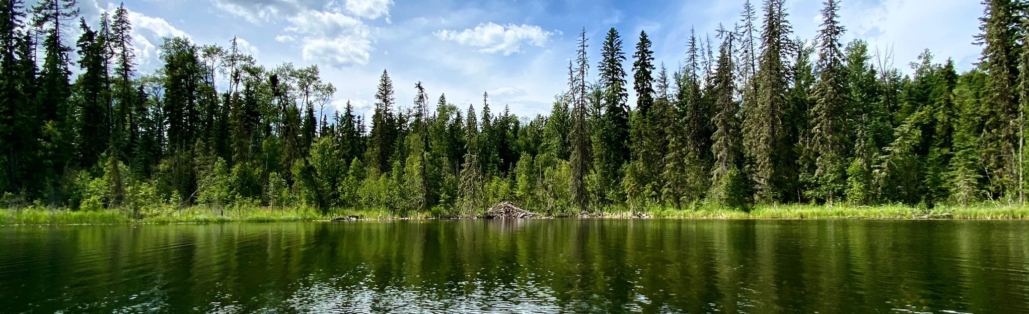 Little McLeod Lake Paddle, Alberta, Canada 3 Reviews, Map AllTrails