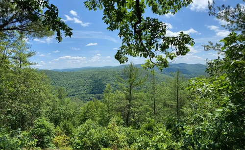 Escape to Nature's Embrace: A Guide to Connecticut's Mashamoquet Brook State Park