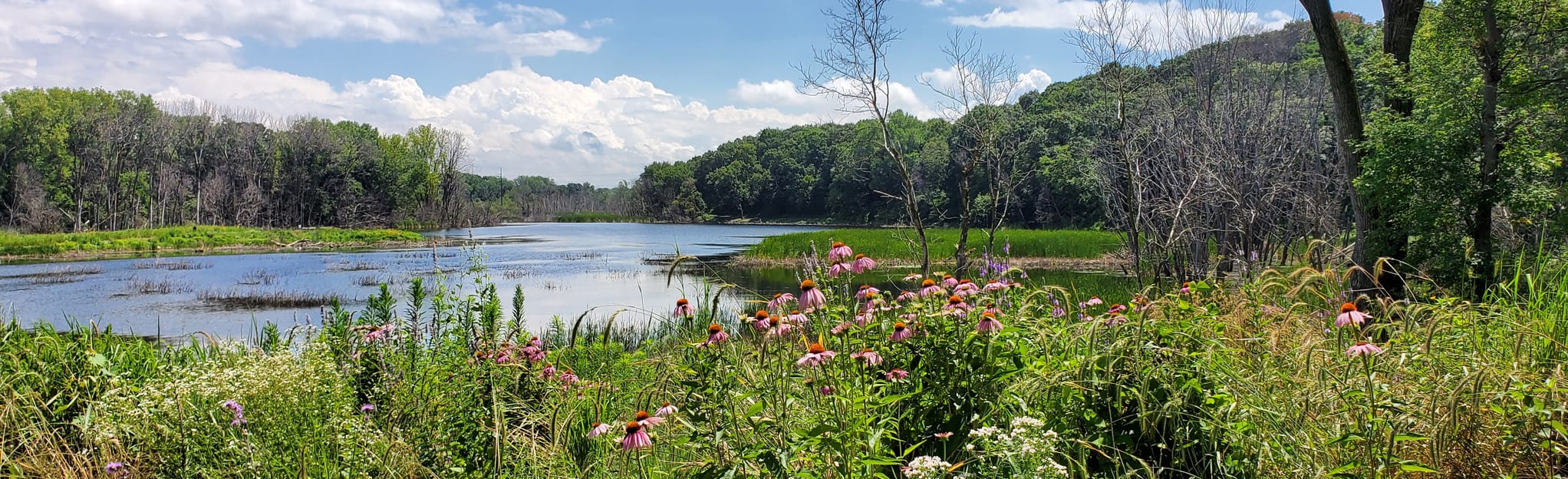 Snail Lake Trail 226 Reviews, Map Minnesota AllTrails
