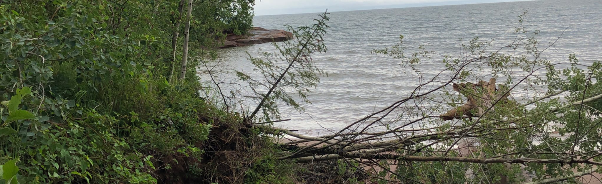 Port Wing Boreal Forest State Natural Area, Wisconsin 10 Reviews, Map