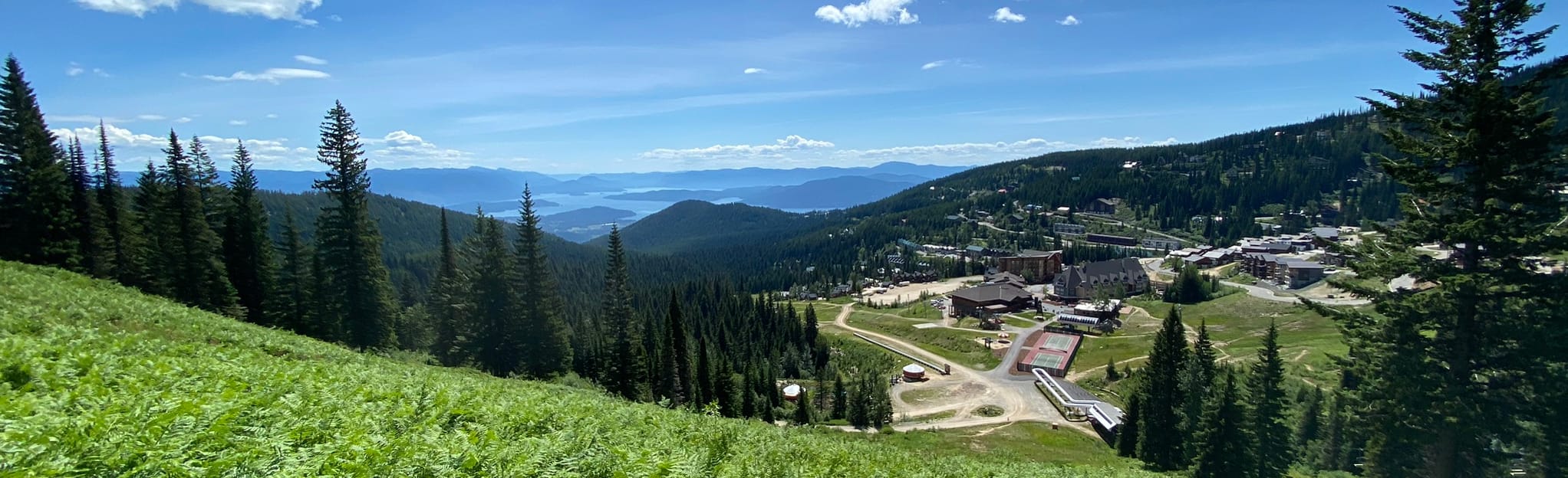 Schweitzer Nature Trail Map - EyJidWNrZXQiOiJhc3NldHMuYWxsdHJhaWxzLmNvbSIsImtleSI6InVwbG9hZHMvcGhvdG8vaW1hZ2UvMjc4NTQxNDcvY2ZkNWZhYjgzNWVjODFhMmNhNDhhODhlM2Q2YWY4N2YuanBnIiwiZWRpdHMiOnsidG9Gb3JtYXQiOiJqcGVnIiwicmVzaXplIjp7IndpZHRoIjoyMDQ0LCJoZWlnaHQiOjYyNCwiZml0IjoiY292ZXIifSwicm90YXRlIjpudWxsLCJqcGVnIjp7InRyZWxsaXNRdWFudGlzYXRpb24iOnRydWUsIm92ZXJzaG9vdERlcmluZ2luZyI6dHJ1ZSwib3B0aW1pc2VTY2FucyI6dHJ1ZSwicXVhbnRpc2F0aW9uVGFibGUiOjN9fX0=