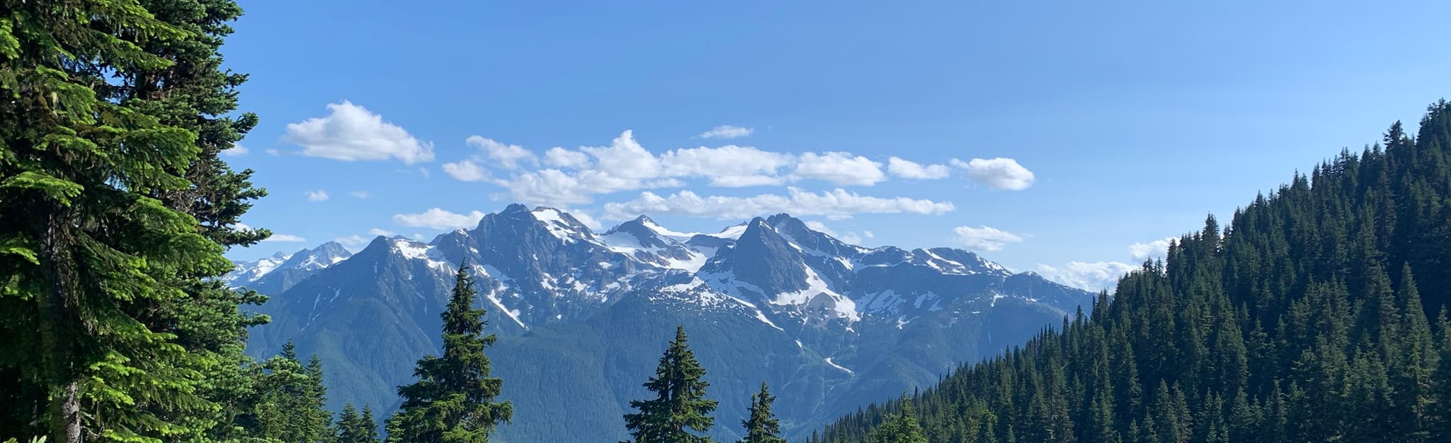 Sourdough Mountain Camp via Sourdough Lookout Trail 276 foto's