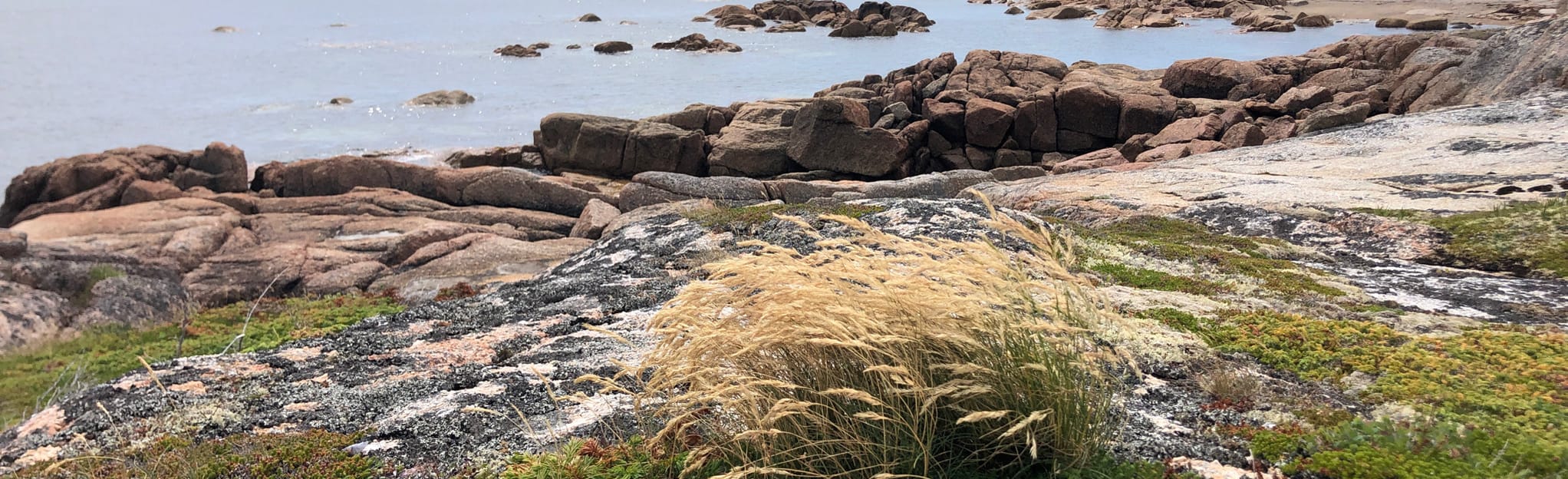 Windmill Bight Provincial Park to Lumsden Harbour, Newfoundland and