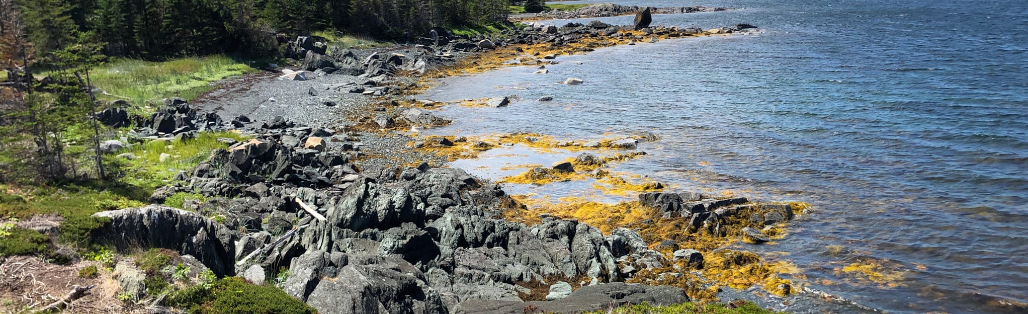 Bob’s Cove trail and picnic area 2 Reviews, Map Newfoundland and