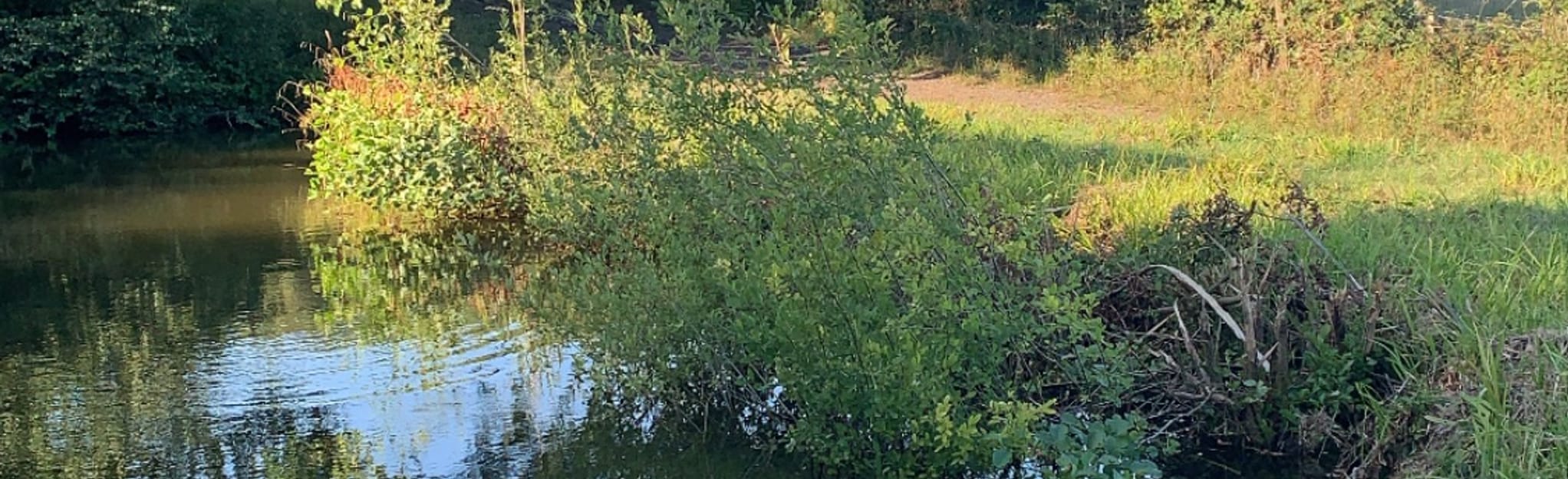 Forest Row Circular 76 Reviews, Map East Sussex, England AllTrails