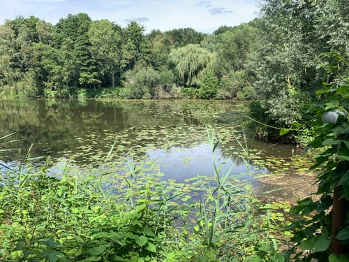 Zwei-Seen-Runde (Premiumwanderweg)