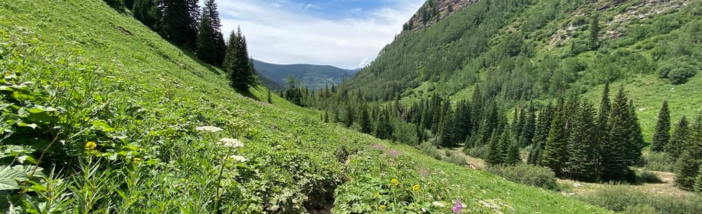 Booth Lake Trail, Colorado - 1,023 Reviews, Map | AllTrails