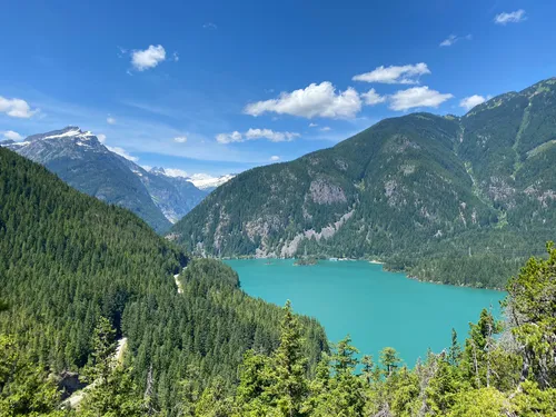 Ross lake dam clearance trail