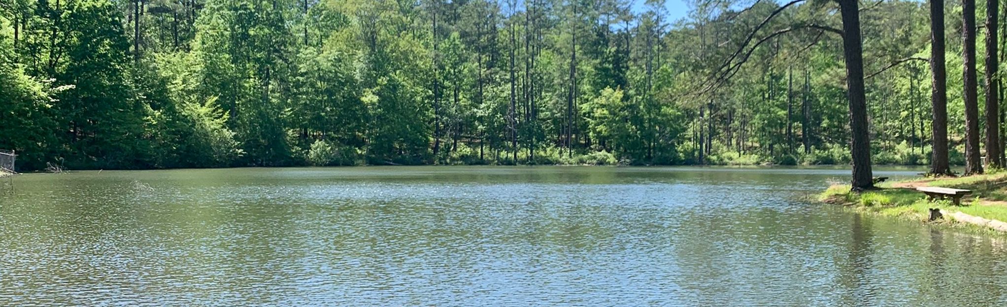 lick-fork-lake-trail-10-foto-s-south-carolina-alltrails