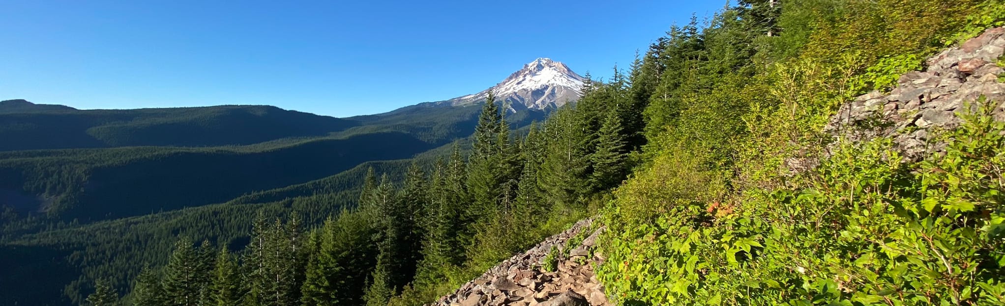 Tom, Dick, and Harry Mountain via Mirror Lake and Sunrise Loop 496 Reviews, Map Oregon