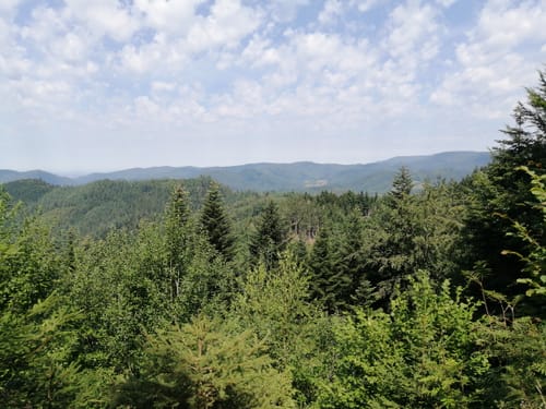 Peterstaler Schwarzwaldsteig (Premiumwanderweg)