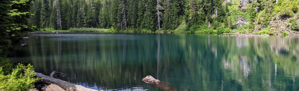 are dogs allowed at independence lake