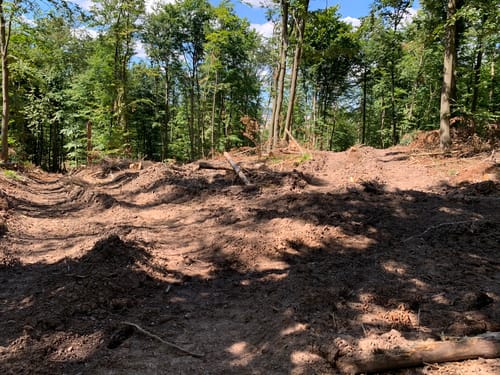 Nörtener Wald ab Nörten-Hardenberg