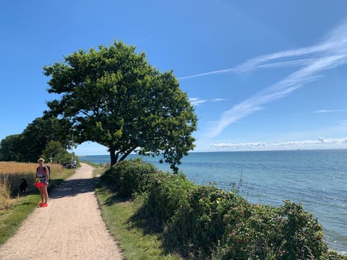 Rundtour Kellenhusen: Zum Leuchtturm Dahmeshöved und nach Dahme