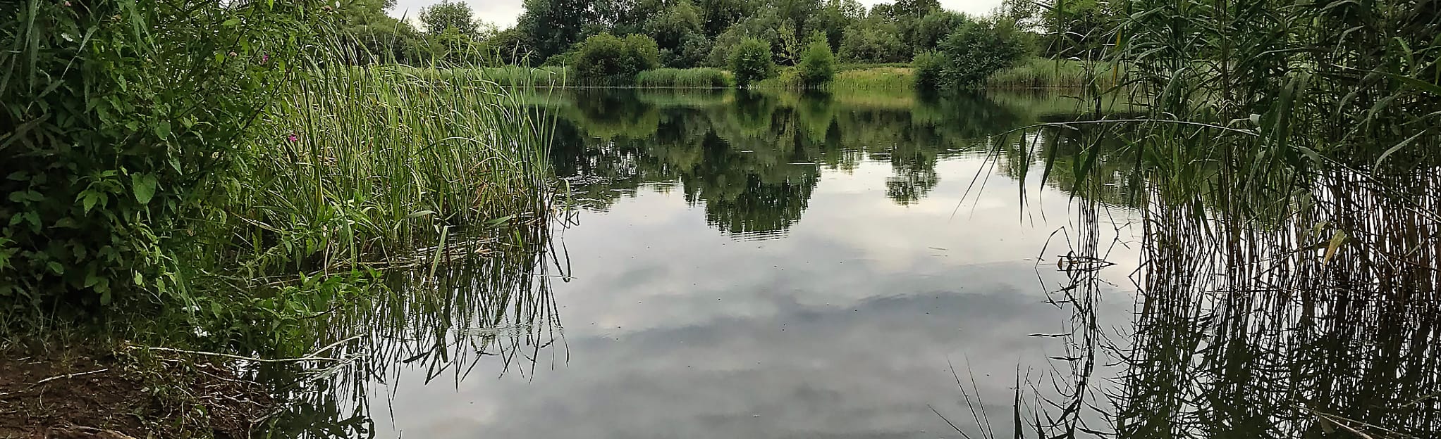 Cotswold Water Park Lake 6 Circular, Gloucestershire, England 49