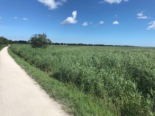 Darss Marathon