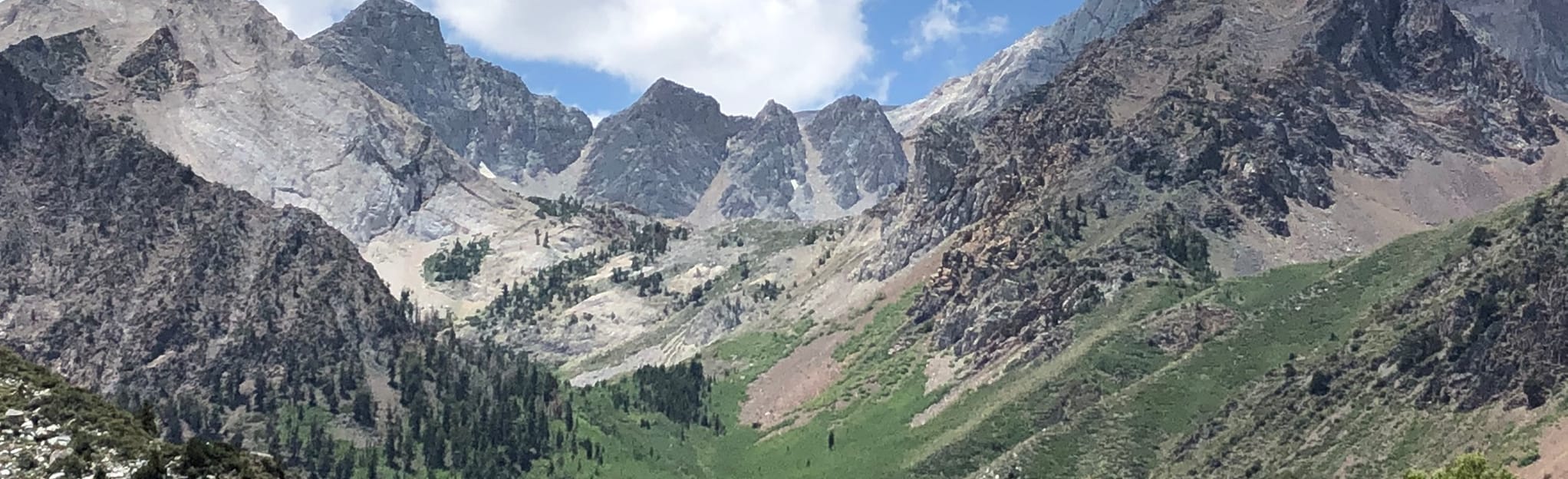 Explore Big McGee Lake AllTrails