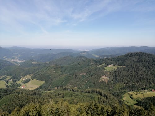 Von der Zuflucht zum Buchkopfturm und zur Renchtalhütte