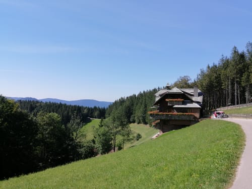 Von der Zuflucht zum Buchkopfturm und zur Renchtalhütte