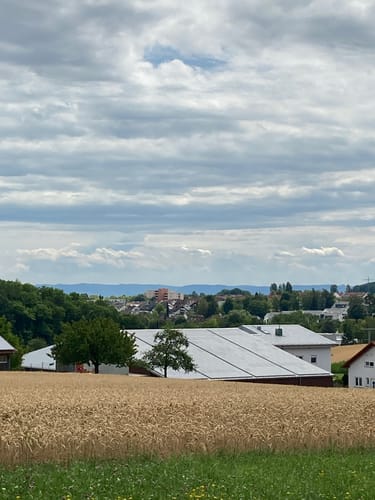 Weilerwald in Musberg
