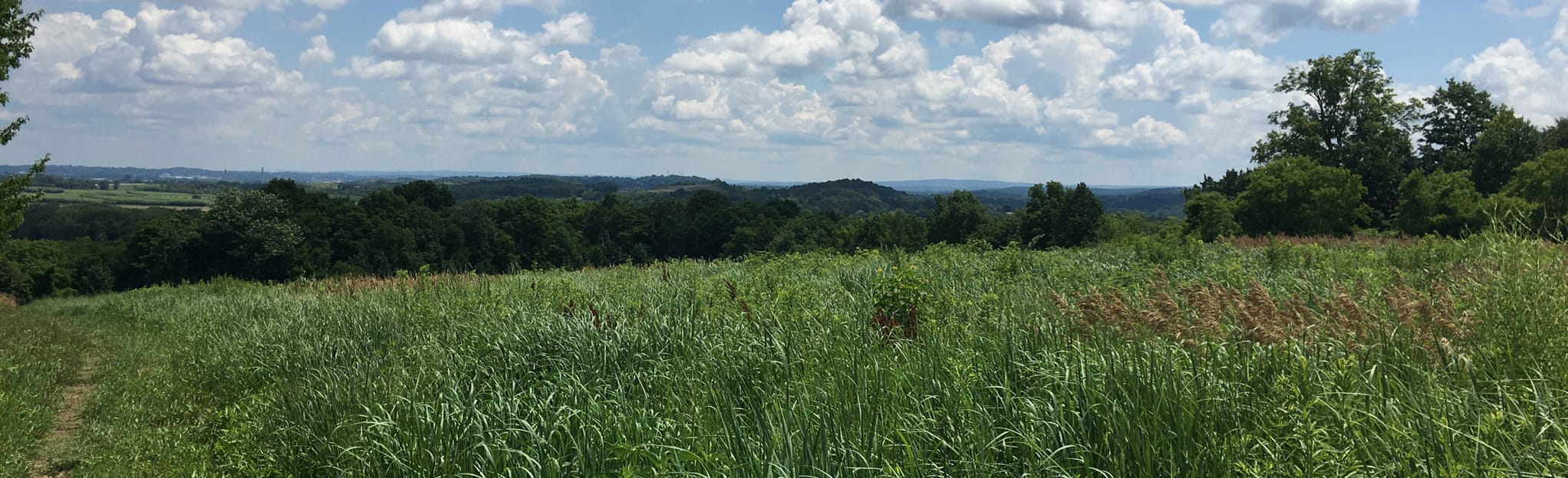 Camillus Forest Unique Area Trails, New York 356 Reviews, Map AllTrails