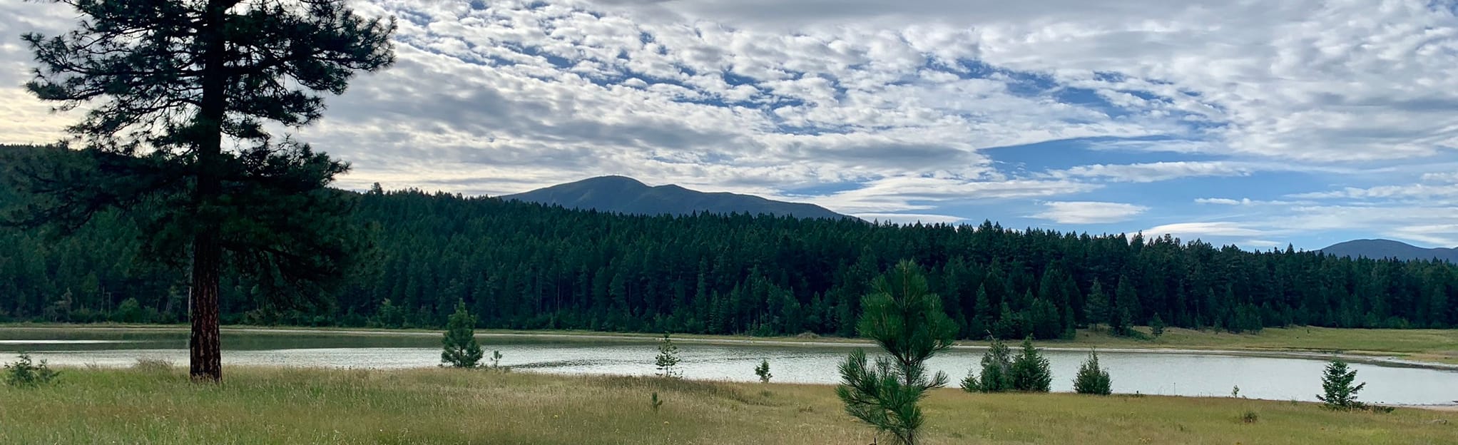 Sylvan Lake via Sylvan Lake Forest - EyJidWNrZXQiOiJhc3NldHMuYWxsdHJhaWxzLmNvbSIsImtleSI6InVwbG9hZHMvcGhvdG8vaW1hZ2UvMjc4OTUxNTUvMWZkMmNiY2Y3NDI0MWMzYzU2YTQ1ODE4OGIxZjVkZTUuanBnIiwiZWRpdHMiOnsidG9Gb3JtYXQiOiJqcGVnIiwicmVzaXplIjp7IndpZHRoIjoyMDQ0LCJoZWlnaHQiOjYyNCwiZml0IjoiY292ZXIifSwicm90YXRlIjpudWxsLCJqcGVnIjp7InRyZWxsaXNRdWFudGlzYXRpb24iOnRydWUsIm92ZXJzaG9vdERlcmluZ2luZyI6dHJ1ZSwib3B0aW1pc2VTY2FucyI6dHJ1ZSwicXVhbnRpc2F0aW9uVGFibGUiOjN9fX0=