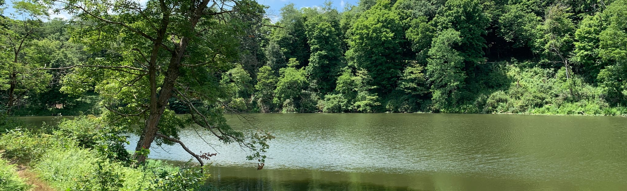 Judy Hulka, Poe, Half King, and Big Foot Trail Loop 36 Reviews, Map