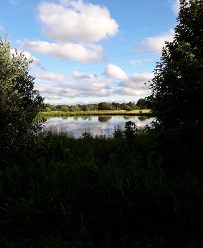 Rund um Wapelfeld 