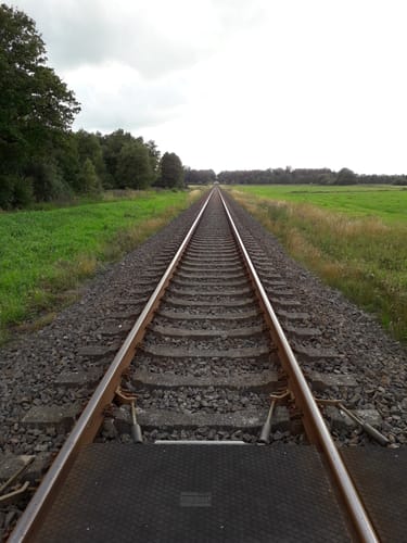 Rund um Wapelfeld 