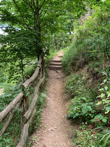 Wieda - Großer Eulentalberg - Jagdkopf